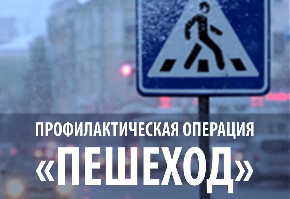 В Ногайском районе проводится операция "Пешеход"