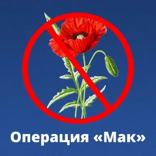 Операция «МАК - 2026»