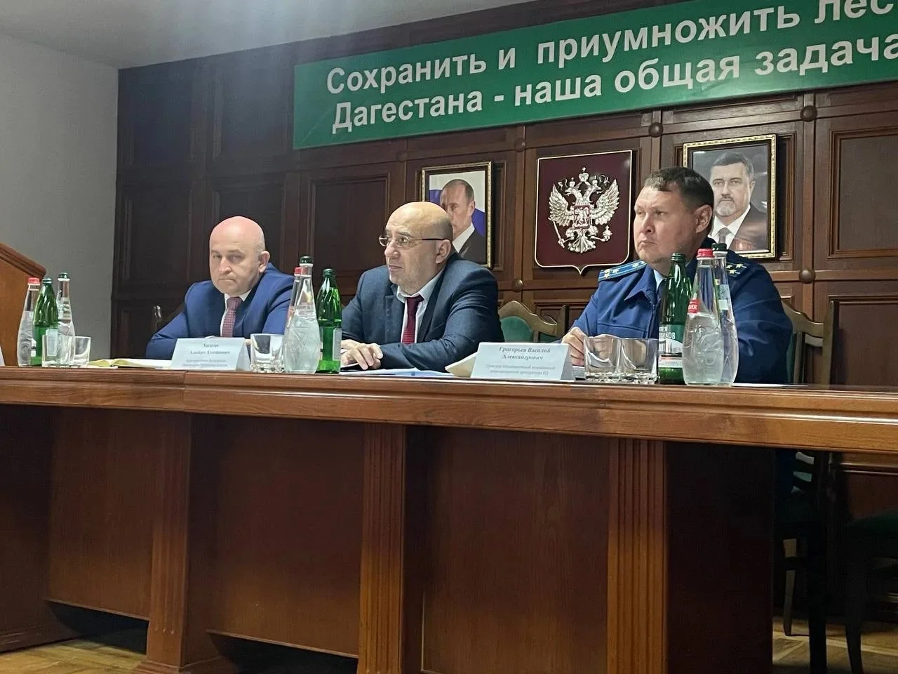 Альберт Хасауов встретился с коллективом Комитета по лесному хозяйству Дагестана