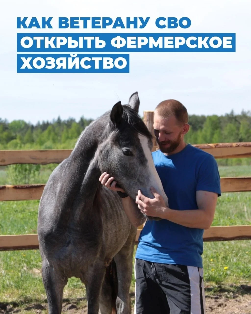 Порядок открытия фермерского хозяйства ветеранами СВО при поддержке Государственного фонда «Защитники Отечества»