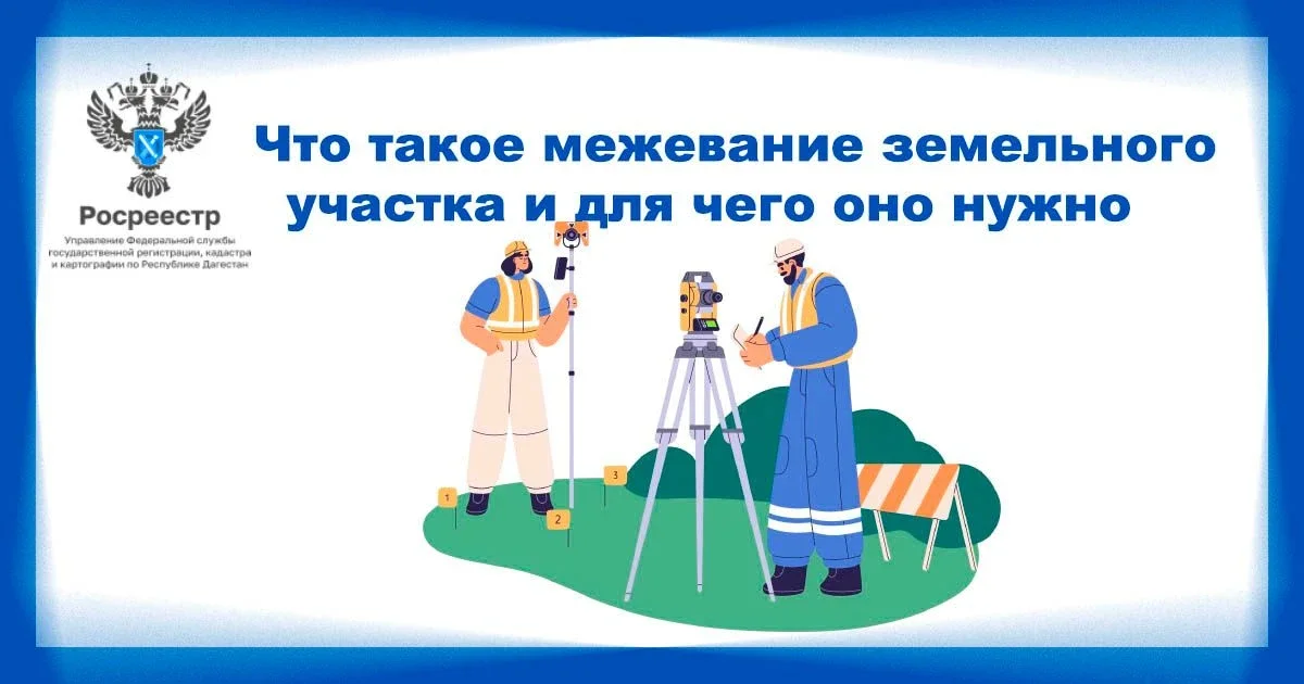 Межевание земельных участков: что изменилось и как правильно установить границы
