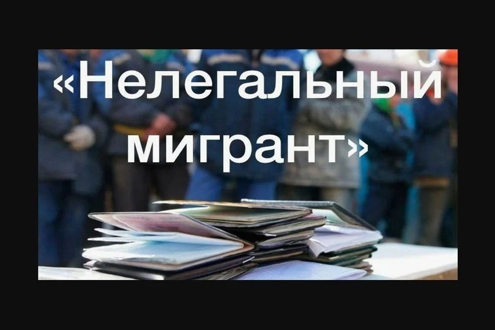 Миграционный пункт ОМВД России по Ногайскому району проводит операцию «Нелегальный мигрант-2026»