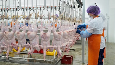 Представители Минсельхозпрода Дагестана ознакомились с инвестпроектами в сельхозпереработке и кооперации