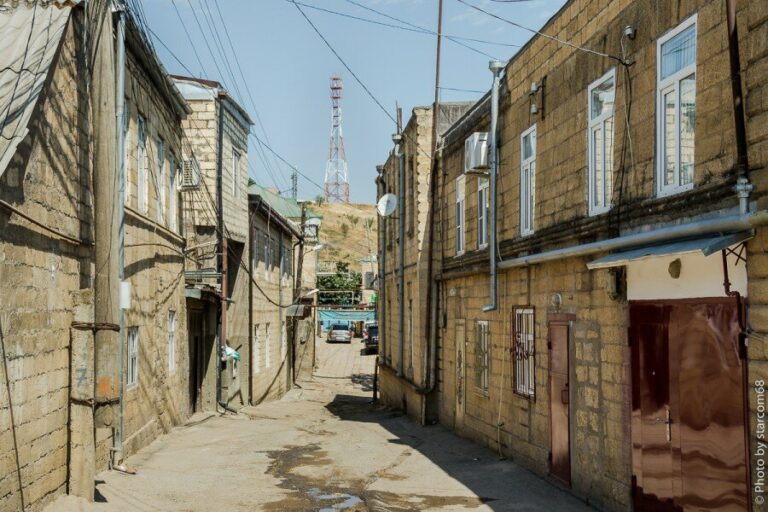 Дагестанские учителя посоветовали школьникам, как провести новогодние каникулы