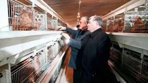 Врачам из "красной зоны" подарили торт с размером 1 на 2 метра