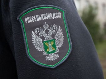 Россельхознадзор Дагестана проведет проверку приграничных территорий на наличие саранчовых вредителей