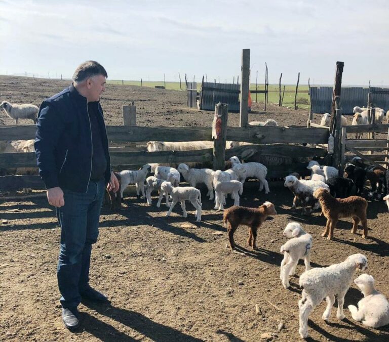 Абдулмуслим Абдулмуслимов поздравил ветеринаров Дагестана с профессиональным праздником