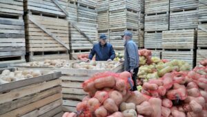 Овощехранилище в Дагестане