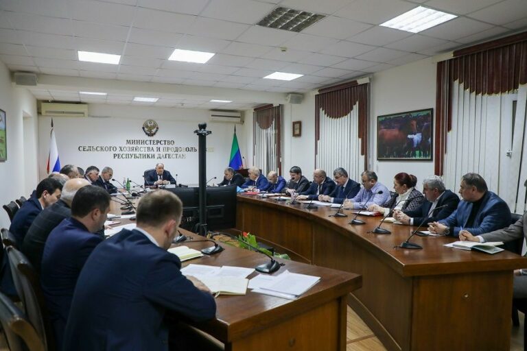 Дагестан получил свыше двух миллиардов рублей на поддержку АПК