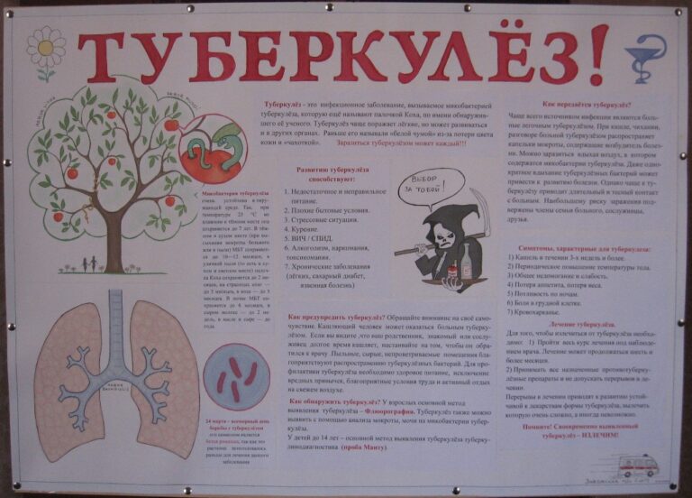 Профилактика туберкулеза