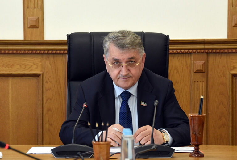 Ильяс Мамаев прокомментировал прямой эфир Главы РД
