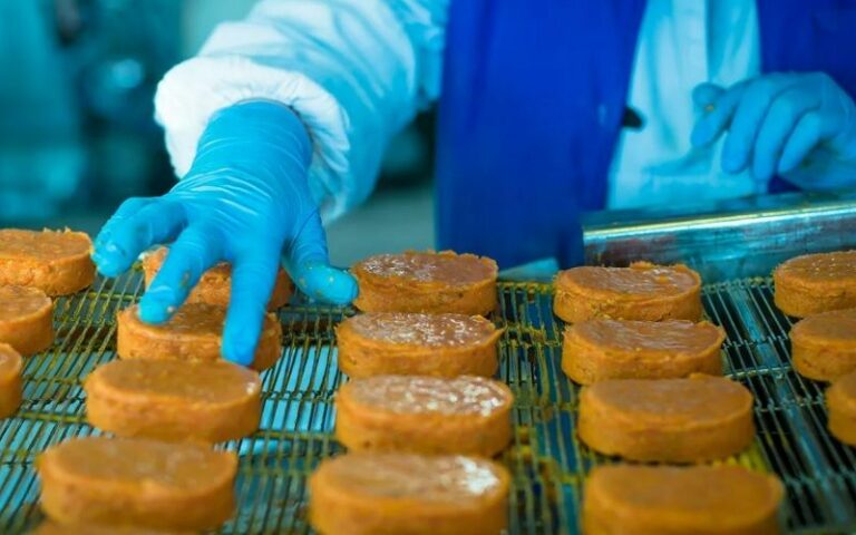 В Дагестане производство пищевых продуктов выросло более чем на 10%