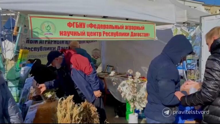 Главе Дагестана продемонстрировали новые достижения ФГБНУ "Федеральный аграрный научный центр РД"