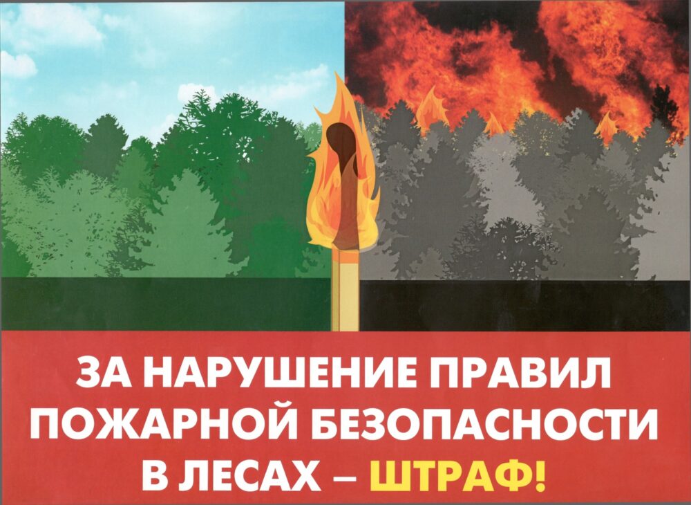 Ппб в лесах. Правила пожарной безопасности в лесу. нарушение правил пожарной безопасности. нарушение правил пожарной безопасности в лесах. правила пожарной безопасности в лесах.