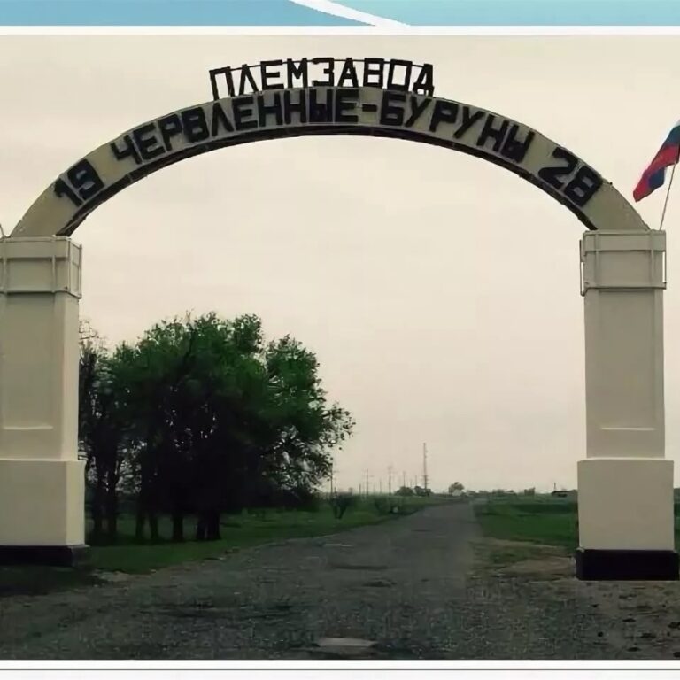 Власти республики приняли решение оказать содействие развитию племенного завода в Ногайском районе