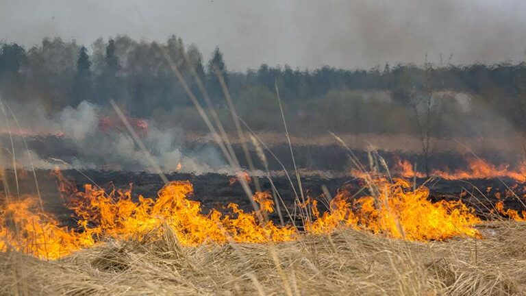 Население Ногайского района просят не  поджигать сухую траву