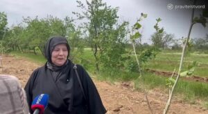 Идея создания "Сада памяти" получила поддержку матерей погибших участников СВО