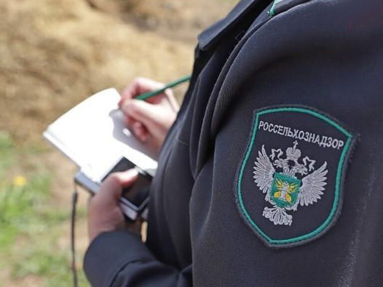 Управлением Россельхознадзора по Республике Дагестан проведено 503 профилактических мероприятия в области ветеринарного надзора