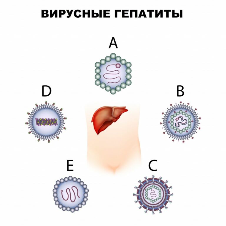 Сотрудники поликлиники №5 Махачкалы рассказали, как не заразиться гепатитом