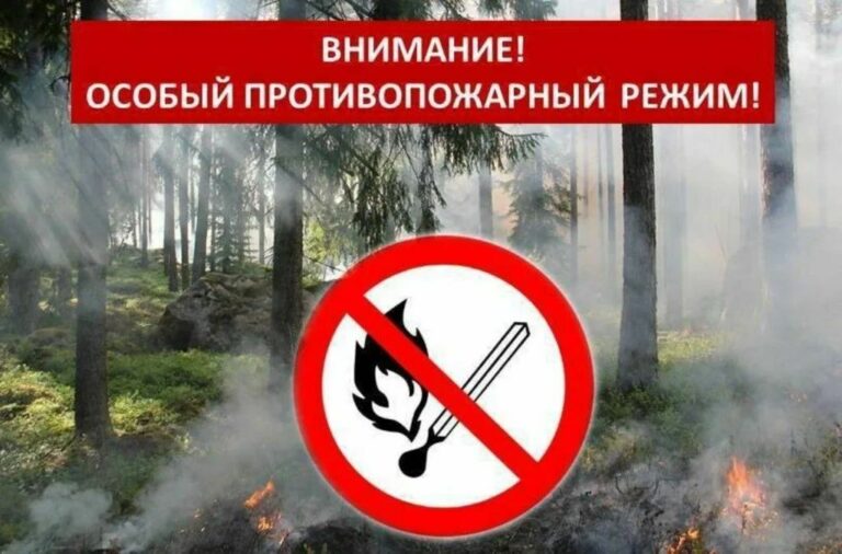 В Дагестане зарегистрировано более 50 случае загорания сухой растительности и мусора
