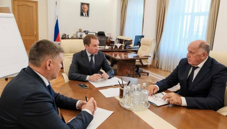 Министр природных ресурсов России встретился с премьер-министром Дагестана