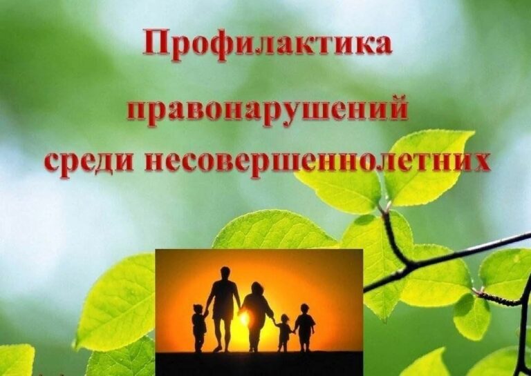 Профилактика преступлений и правонарушений