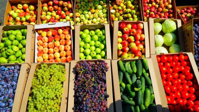 В Дагестане за 2024 год повысилась мощность хранилищ плодоовощной продукции