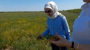 В Дагестане расширяют карантинные фитосанитарные зоны
