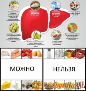 Рекомендации по питанию для поддержания здоровья печени
