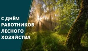Руководство Ногайского района поздравляет работников лесной отрасли с профессиональным праздником