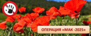 В Ногайском района проходит 3-й этап оперативно-профилактической операции «МАК-2025»