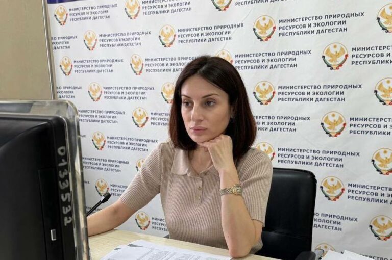 Замминистра природных ресурсов Дагестана приняла участие в заседании федерального штаба по проекту «Чистый воздух»